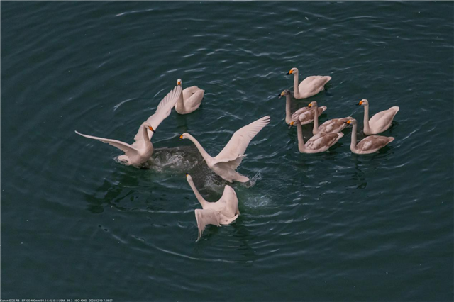 图片3.png 图片3.png