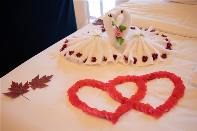 图片15.png 图片15.png