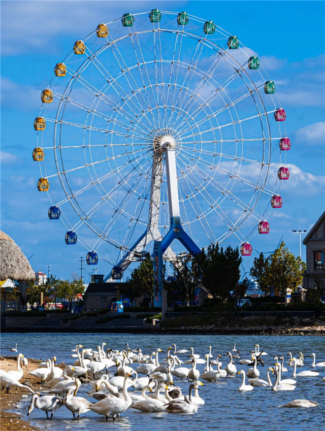 图片7.png 图片7.png