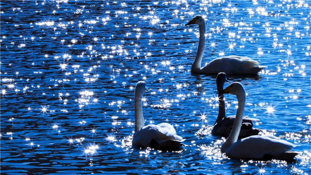 图片9.png 图片9.png