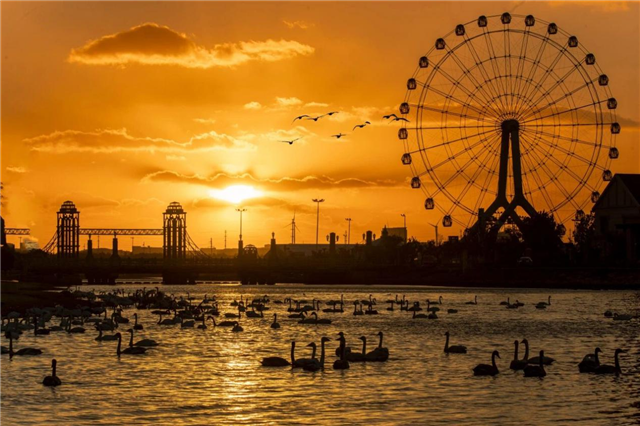 图片10.png 图片10.png