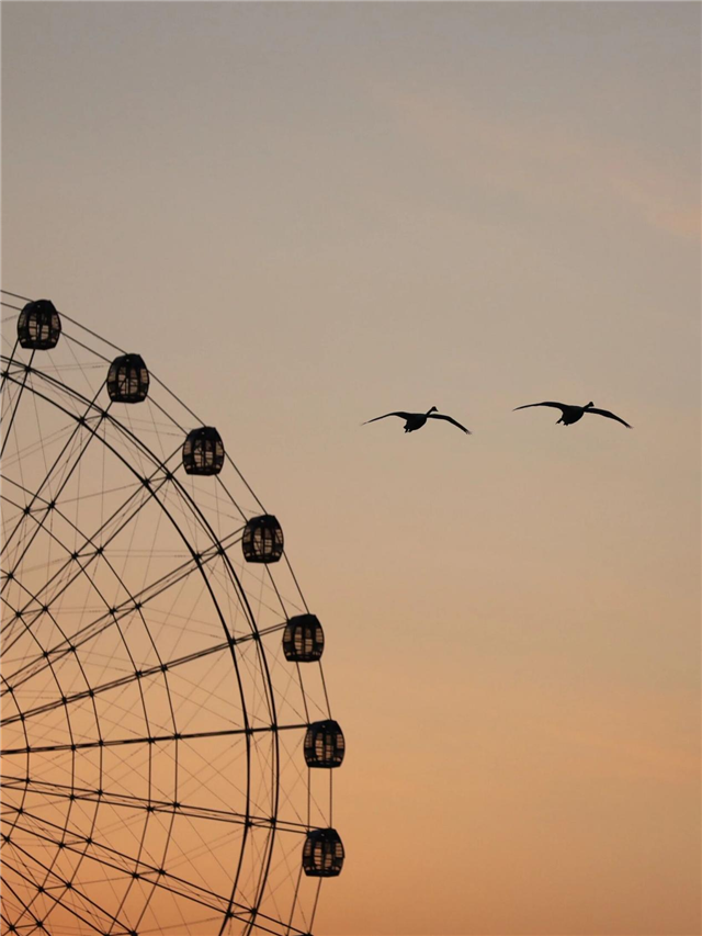 图片23.png 图片23.png