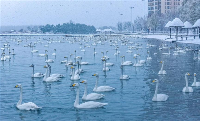 图片10.png 图片10.png