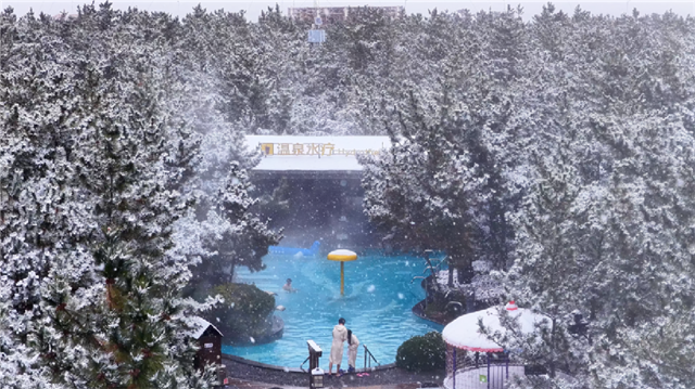 图片13.png 图片13.png