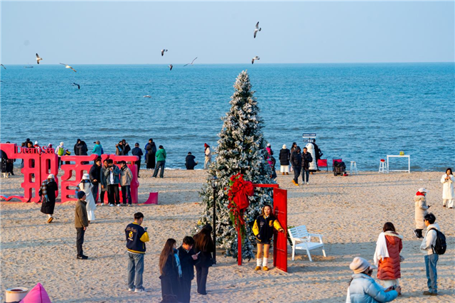 图片12.png 图片12.png