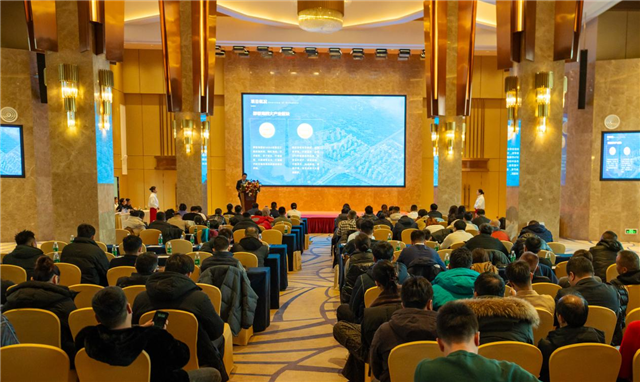 图片16.png 图片16.png