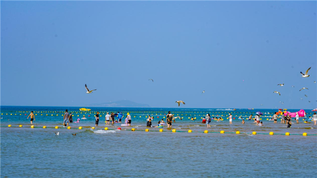 图片41.png 图片41.png