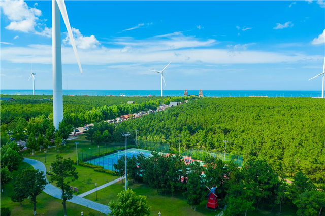 图片42.png 图片42.png