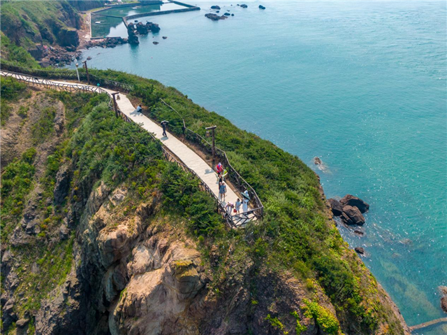 图片51.png 图片51.png