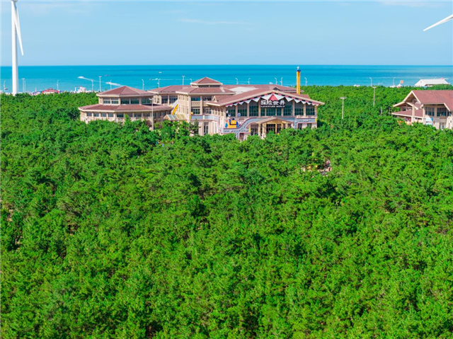 图片57.png 图片57.png