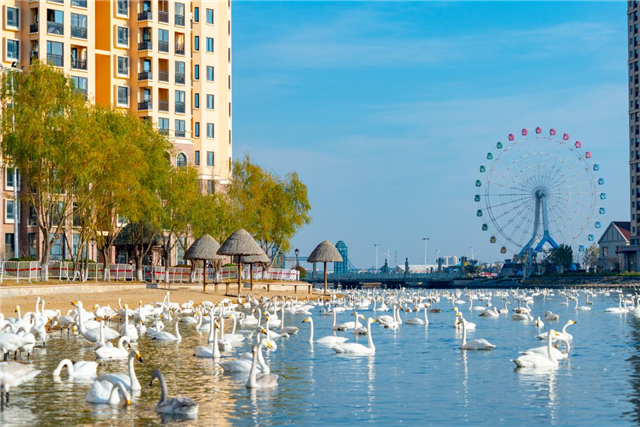 图片61.png 图片61.png