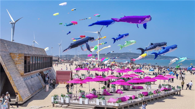 图片69.png 图片69.png