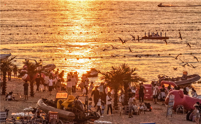 图片75.png 图片75.png