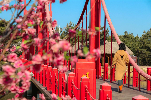 图片6.png 图片6.png