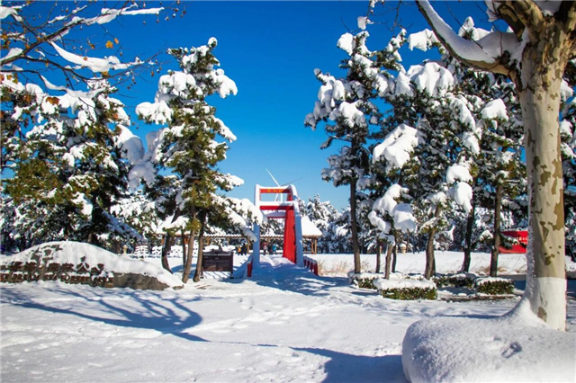 图片8.png 图片8.png