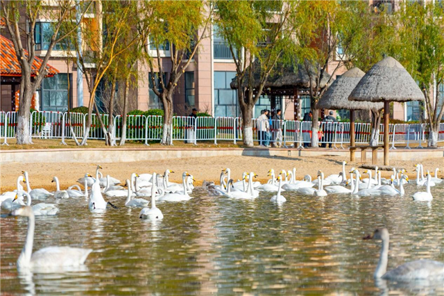 图片4.png 图片4.png