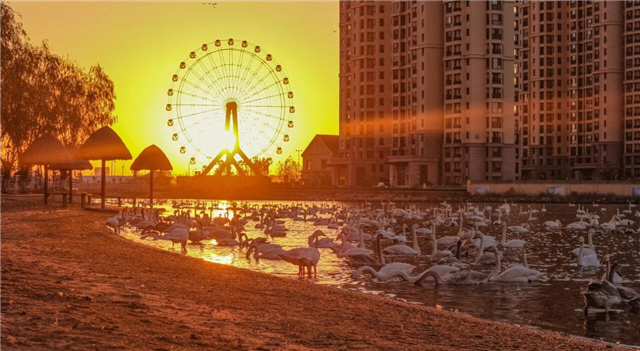 图片5.png 图片5.png