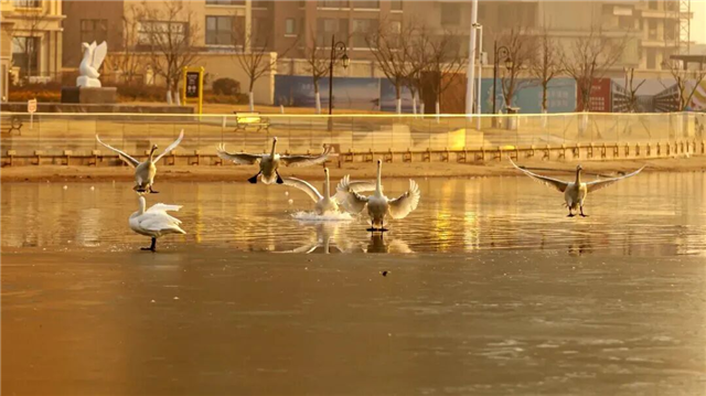 图片6.png 图片6.png