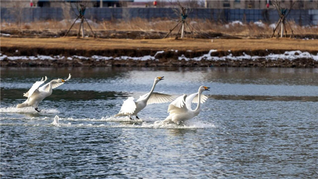 图片7.png 图片7.png