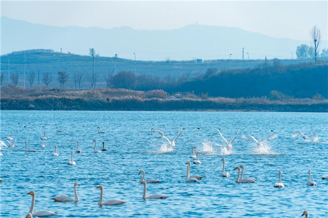 图片9.png 图片9.png