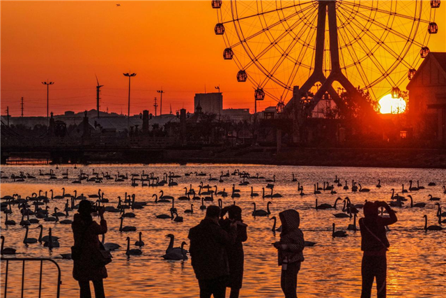 图片10.png 图片10.png