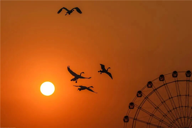 图片11.png 图片11.png