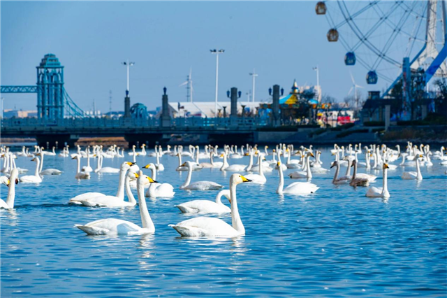 图片12.png 图片12.png