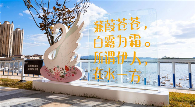 图片14.png 图片14.png