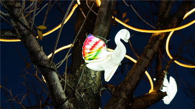 图片16.png 图片16.png