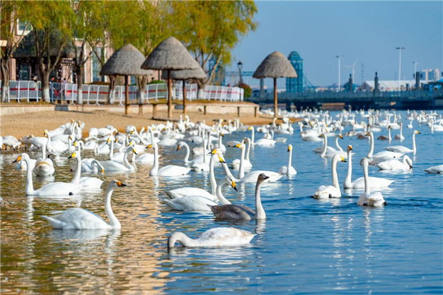 图片6.png 图片6.png