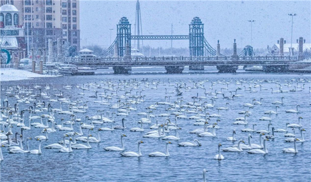 图片5.png 图片5.png