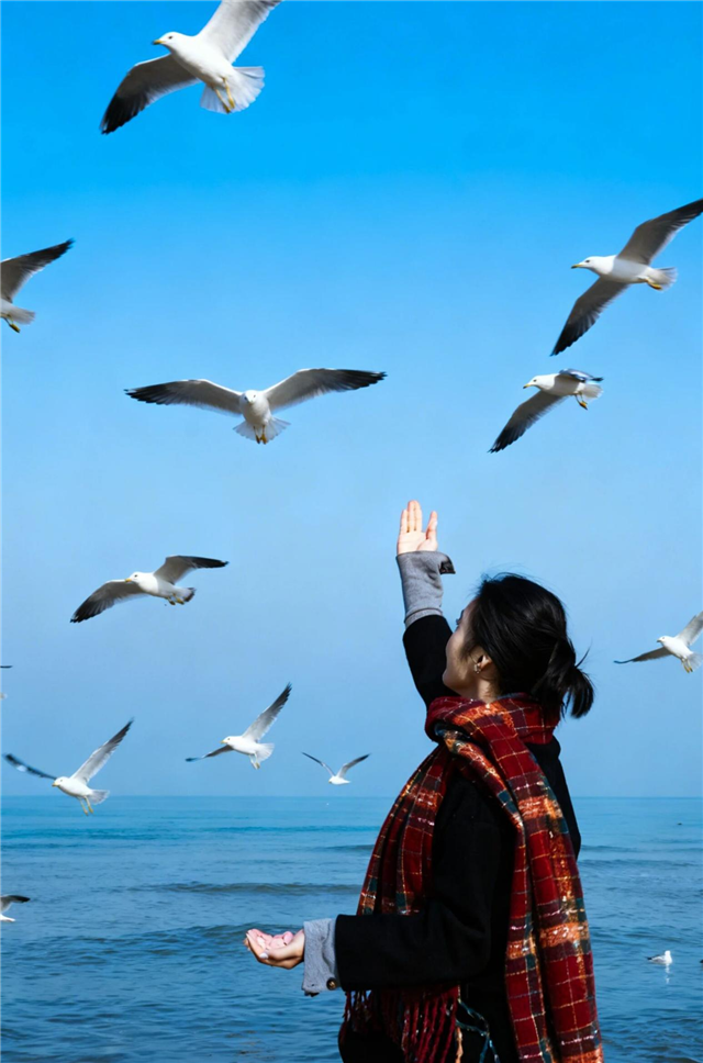 图片2.png 图片2.png