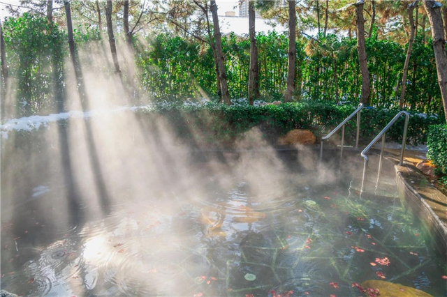 图片6.png 图片6.png